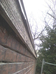 hanna_repointing7